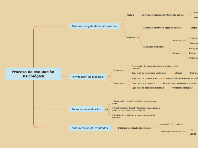 Proceso De Evaluaci n Psicol gica Mind Map